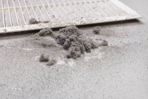 Best HVAC Duct Inspection Services  in Lake Butler, FL