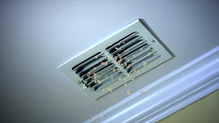 Best Professional Duct Cleaning Services  in Lake Butler, FL