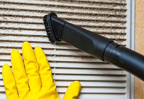 Best Affordable Air Duct Cleaning  in Lake Butler, FL